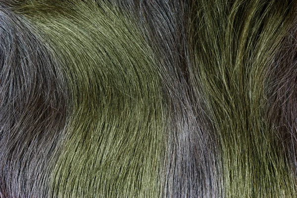 Colore Verde Texture Dei Capelli Come Sfondo — Foto Stock