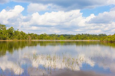 Milli parktaki göl, Khao Yai, Tayland