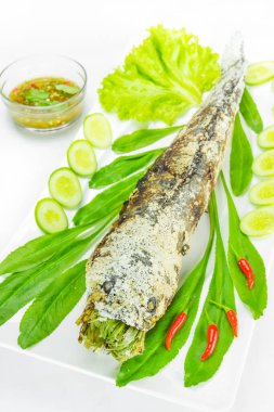 Tuz kaplı ızgara çizgili yılan başlı balık.