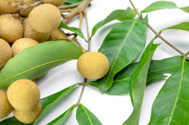 Beyaz arkaplanda Dimocarpus veya Longan
