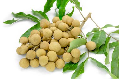 Beyaz arkaplanda Dimocarpus veya Longan
