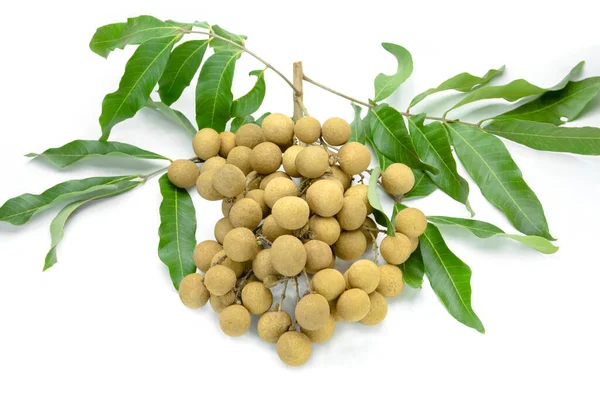 Dimocarpo Longan Sobre Fundo Branco — Fotografia de Stock