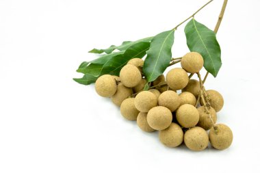 Dimocarpus, arka planda longan