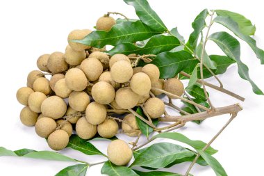 Dimocarpus, arka planda longan