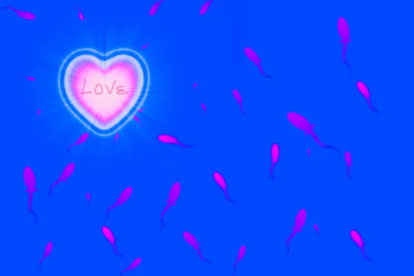 Рожеве Серце Спермою Синьому Фоні — стокове фото