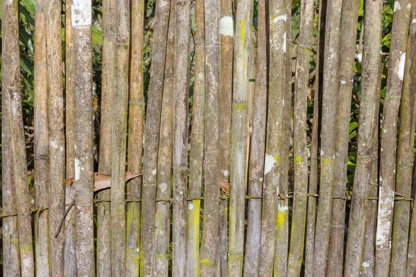 Régi Kerítések Bambusz Háttér — Stock Fotó