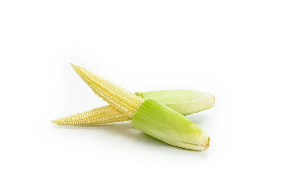 Кукуруза Изолированы Белом Фоне — стоковое фото