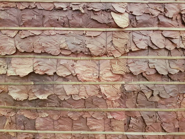 Meşe Yapraklarından Yapılmış Duvarlar — Stok fotoğraf