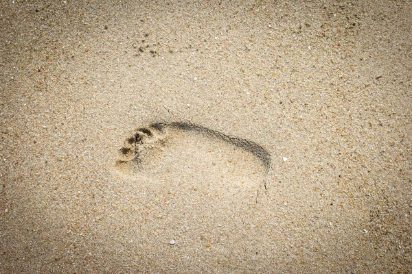 Fußabdrücke Einem Sandstrand — Stockfoto