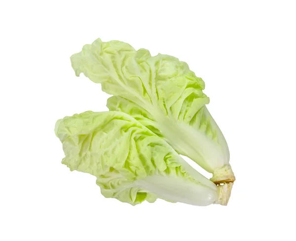 Fresh Chinese Cabbage Isolated White — Stock Photo, Image