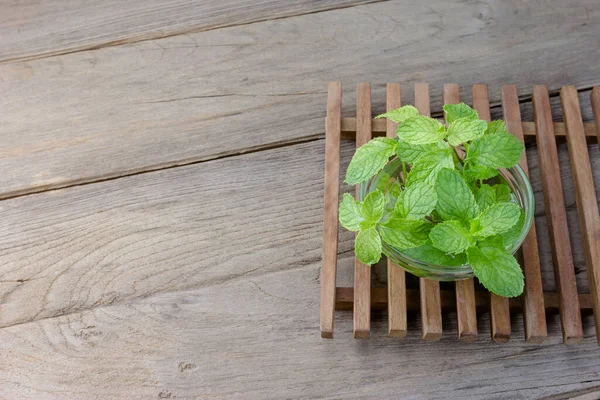 Mint Mangkuk Kaca Transparan Latar Belakang Kayu — Stok Foto