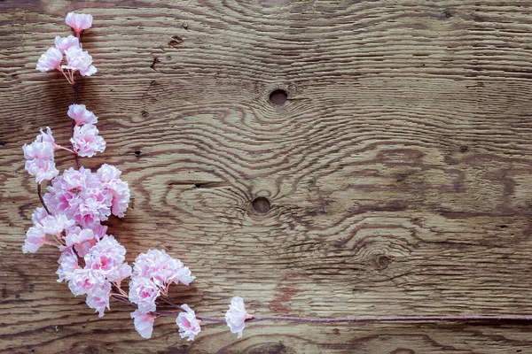 Rosa Blommor Gäng Trä Bakgrund — Stockfoto