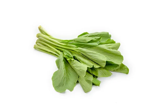 Pakchoi Cavolo Cinese Sfondo — Foto Stock