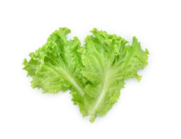 Lettuce Leaf White Background Salad Ingredient — Stock Photo, Image