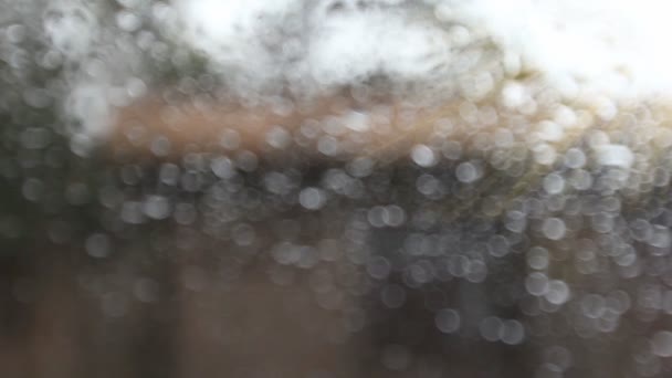 Bokeh Regentropfen Runterlaufen Ein Fenster Mit Morgensonne Regentag — Stockvideo