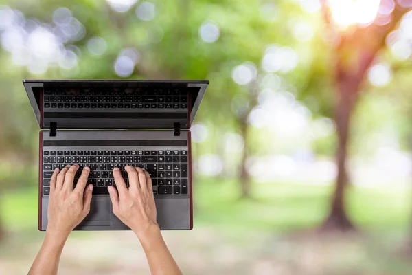 person using laptop with nature background