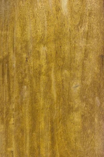 Текстура Золотого Дерева — стоковое фото