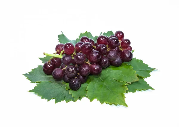 Czerwone Winogrona Liście Tłem — Zdjęcie stockowe