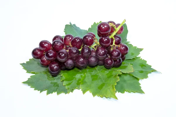 Red Grapes Leaves Background — Stock Photo, Image