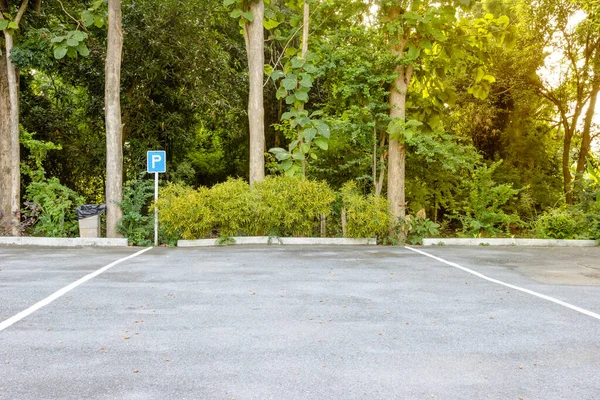 Linhas Estacionamento Com Fundo Florestal — Fotografia de Stock