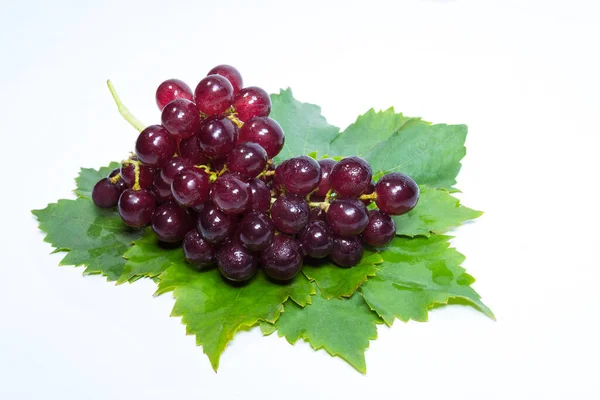 Uvas Vermelhas Folhas Com Gotas Água — Fotografia de Stock