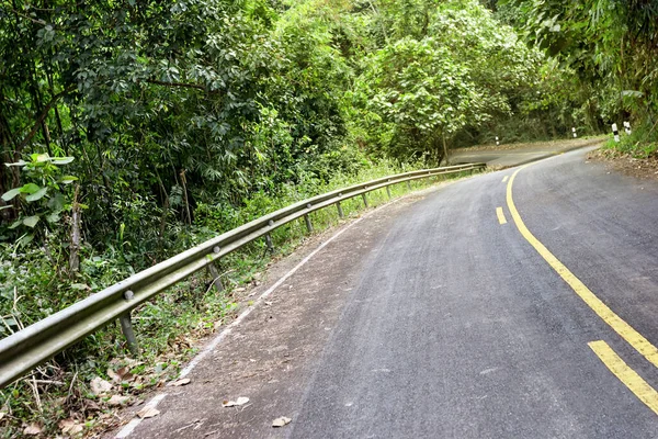 Carretera Bosque Con Guardia Seguridad —  Fotos de Stock