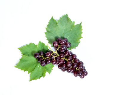 Arka planda kırmızı üzüm ve yapraklar