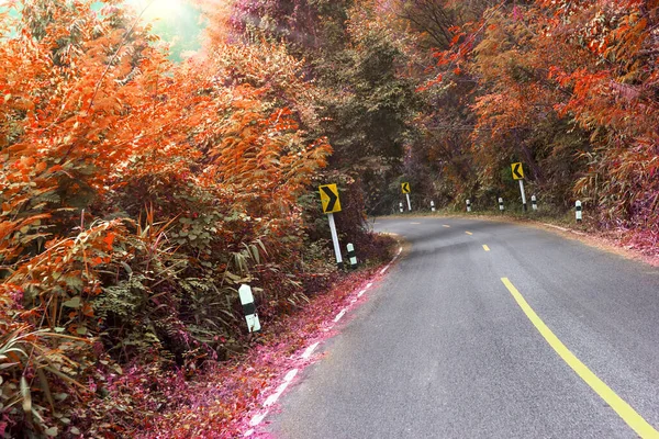 Väg Skogen Med Sväng Vänster Trafikskylt Filter Effekt — Stockfoto