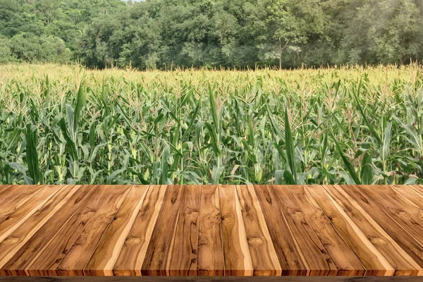 Lege Houten Plank Ruimte Platform Met Maïsboerderij — Stockfoto