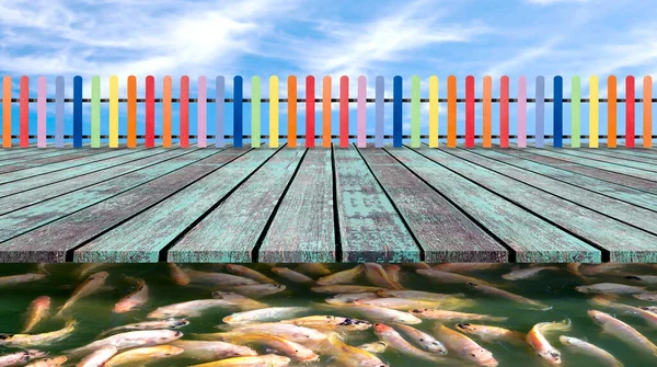 Varicolored Kayu Pagar Dan Lantai Kayu Dengan Ikan Nil Tilapia — Stok Foto