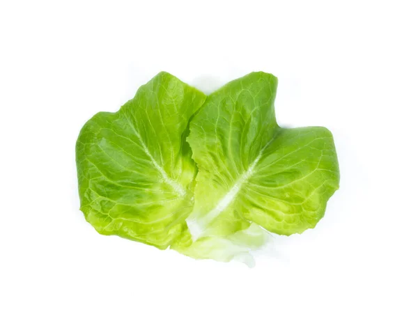 Hoja Lechuga Mantequilla Sobre Fondo Blanco — Foto de Stock