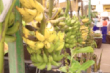 Çizimlerin bulanık arka planında muz, soyut bulanıklaştırılmış 