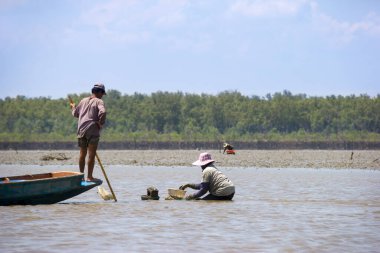 Balıkçı sahilde deniz kabuğu topluyor.