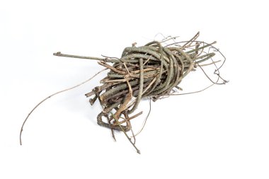 Asma ağacı dalları beyaz arkaplanda izole edilmiş.