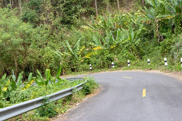 Estrada Floresta Com Guarda Segurança — Fotografia de Stock