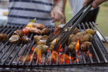 Kömür ocağında ızgara benekli bebek barbeküsü.