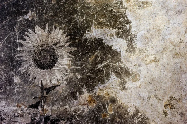 Szürke Cement Textúra Virág Árnyék Háttér Elvont Háttér — Stock Fotó