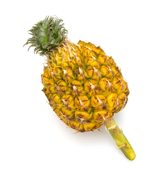 Ananas Geïsoleerd Witte Achtergrond — Stockfoto