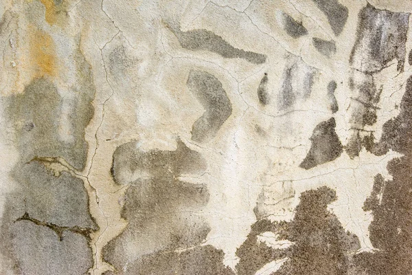 茶色のセメントの壁または床のテクスチャ 要約の背景 — ストック写真