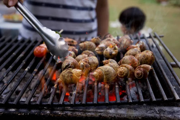 Dîner Barbecue Avec Babylone Tacheté Grillé Sur Poêle Charbon — Photo