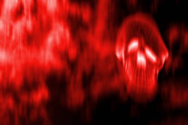 kırmızı soyut bulanık resim, Cadılar Bayramı günü