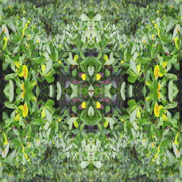 緑の葉のパターンと水のドロップ 秋の植物の葉の背景 シームレスなパターン — ストック写真