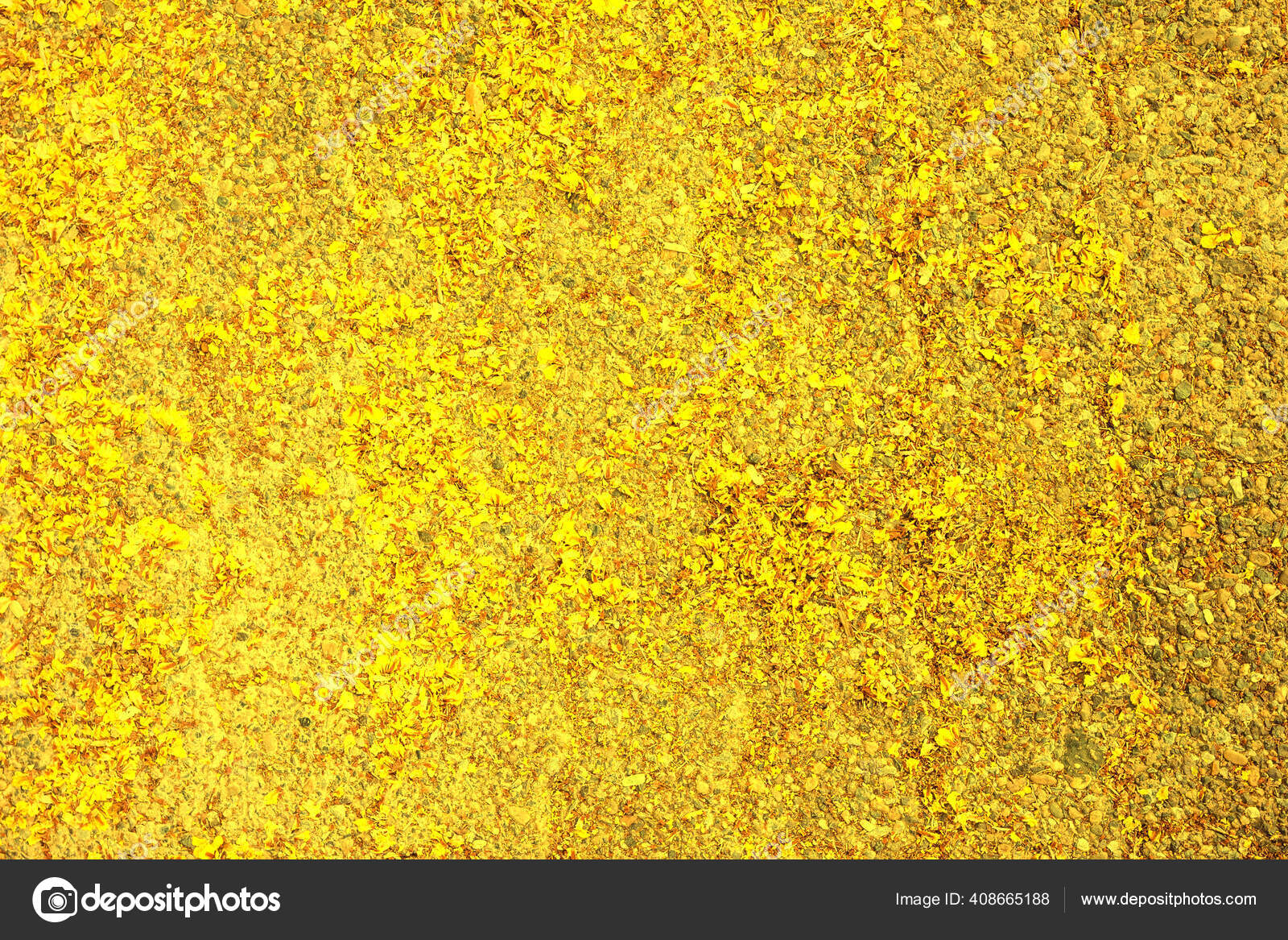 Imagens de fundo dourado: 900+ imagens gratuitas no Unsplash, image size:1600x1167