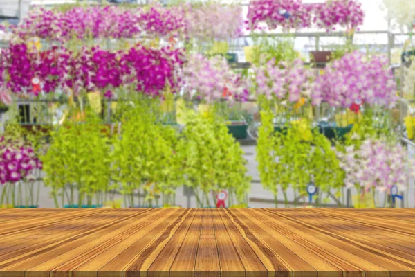 Top desk with various orchids blur background,wooden table