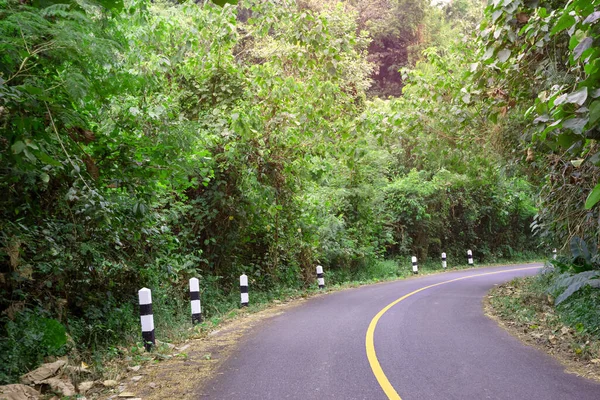 Strada Nel Bosco Con Guardia Sicurezza — Foto Stock