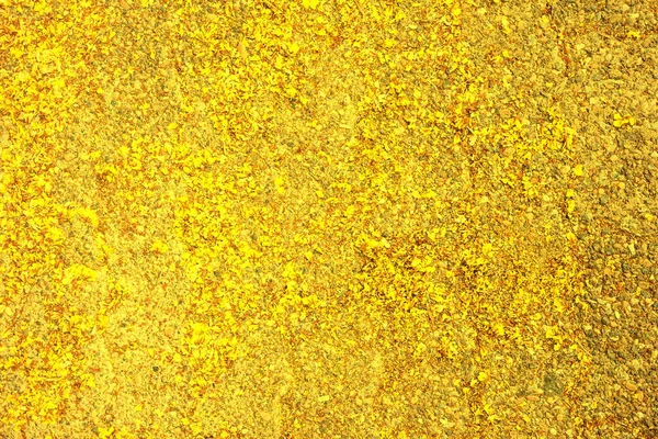 Brillante Textura Del Suelo Oro Fondo Abstracto Patrón Dorado —  Fotos de Stock