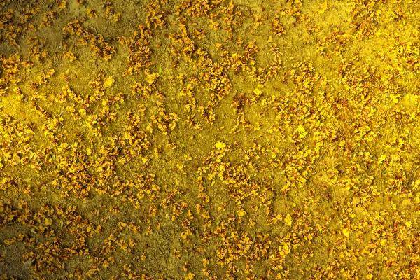 Goldglänzende Grundstruktur Abstrakter Hintergrund Goldenes Muster — Stockfoto