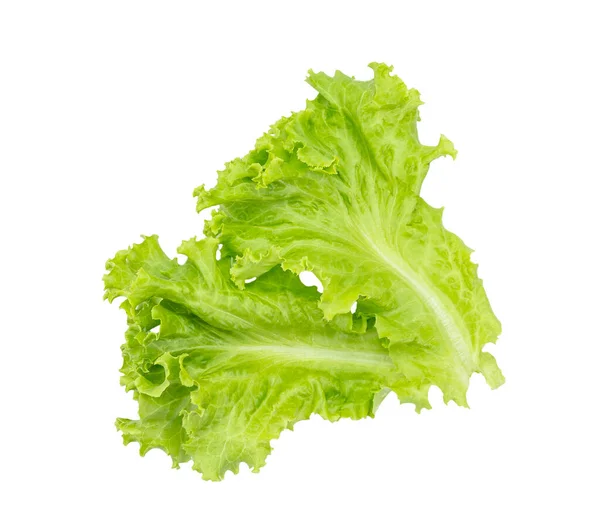 Salatblatt Auf Weißem Hintergrund Salatzutat — Stockfoto