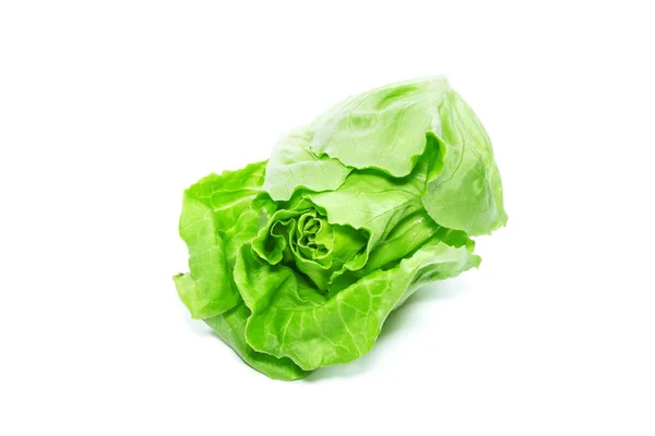 Salát Hlávkový Zelenina Bílém Pozadí — Stock fotografie