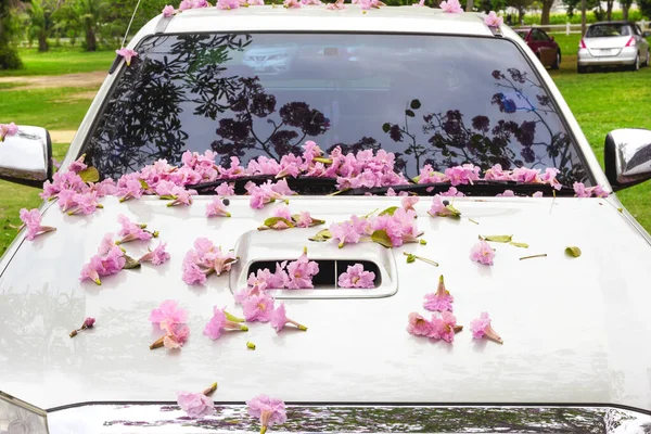 Розовые Цветы Капоте — стоковое фото